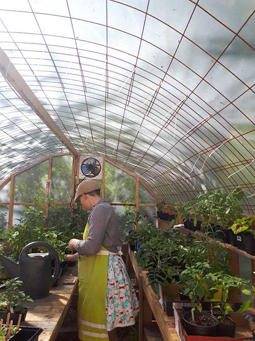 Working in the greenhouse