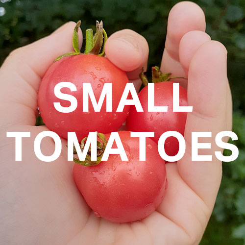 Link to our page for small tomatoes