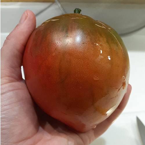 Surprise Oxheart tomato
